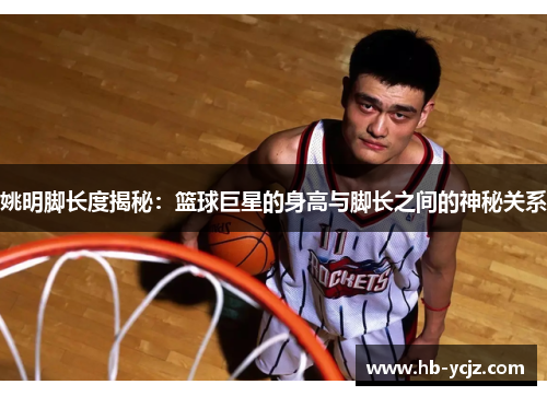 姚明脚长度揭秘：篮球巨星的身高与脚长之间的神秘关系